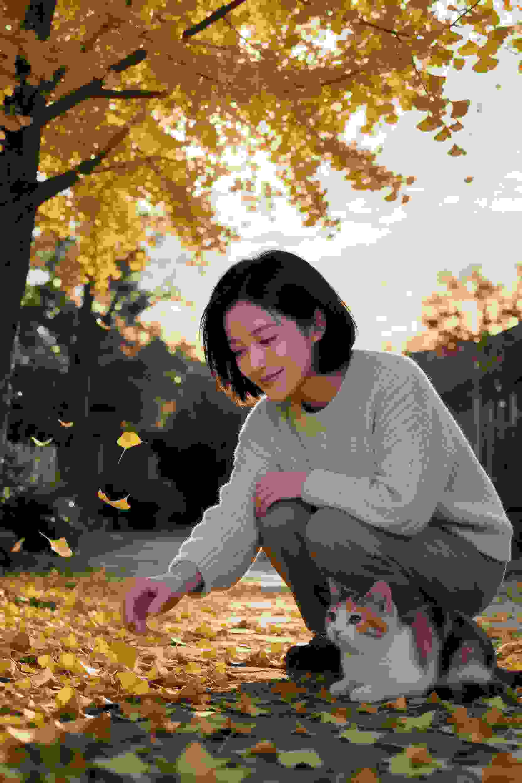 谜影迷踪